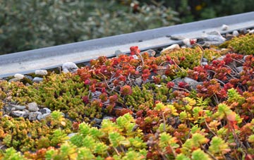 the cost of Burrows Cross green roof installation