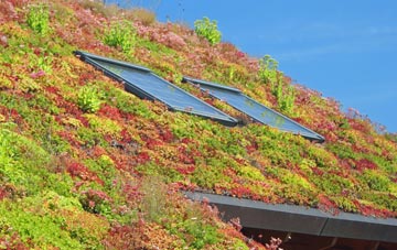 Burrows Cross living roof systems